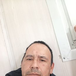 , 41, 