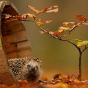  ,  -  2  2025     :)