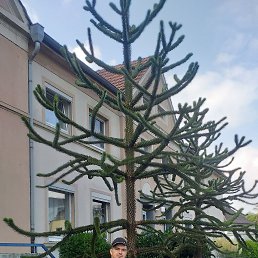 , 37, 