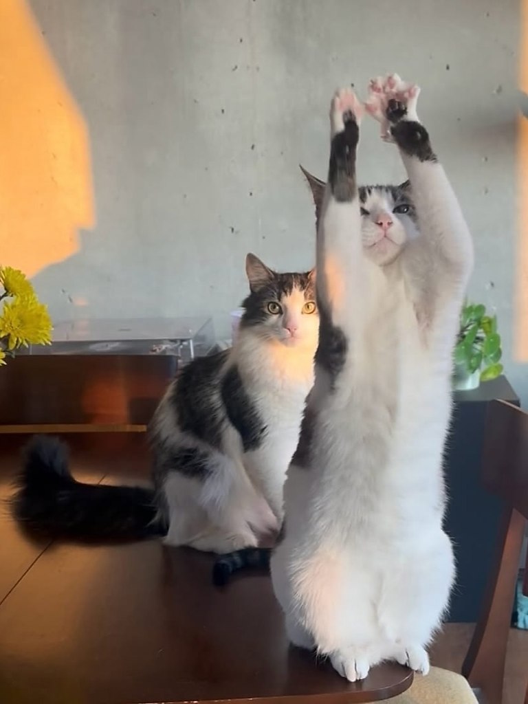 ��� ������� ��������� ����� ������ ���, ����� � ������������ ������� ����. ��� ����� � �� ������ ... - 3