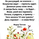  , -- -  15  2025    