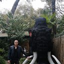 ���� ������, ����, 34 ���� - ��������� 24 ������ 2025