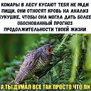 ���� ~����~, �����������-��-�����, 53 ���� - ��������� 20 ���� 2024 � ������ ������ ��������