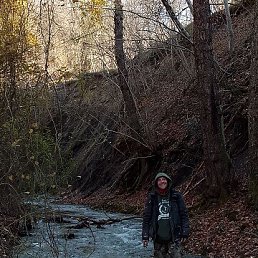 , 40, 