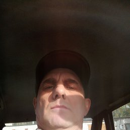 , 49,  
