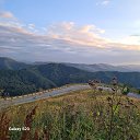 ���� ������, �����, 52 ���� - ��������� 14 ������� 2024 � ������ ���� ����������