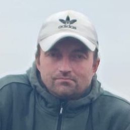 �������, ��������, 43 ����