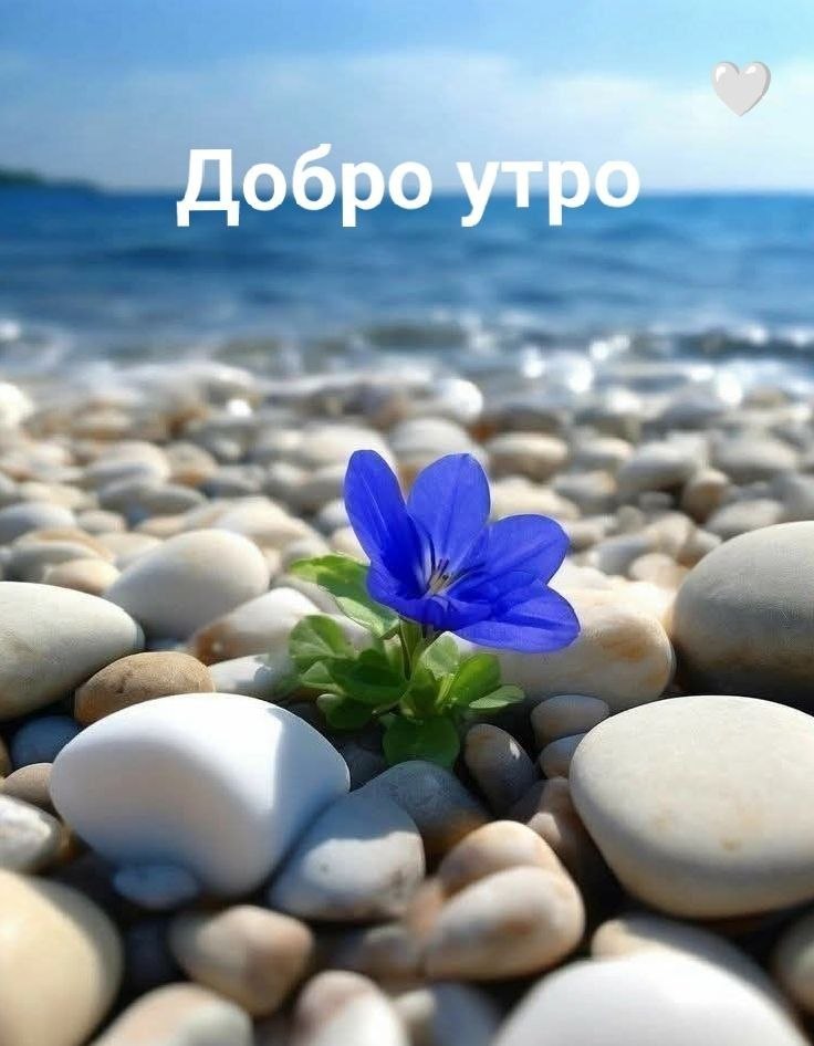   ,    . - 2  2025  23:50