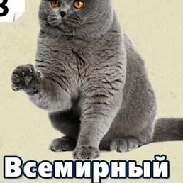 �����, ���������, 38 ���