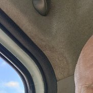 �����, 56 ���, ����