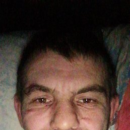 , 38, 