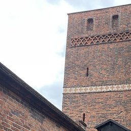 ������, �������, 44 ����