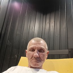 , 53 , 