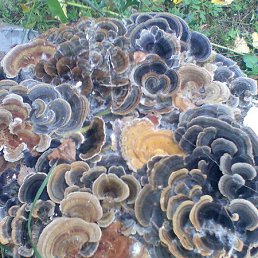 ���� �������, ��������� - ��������� 14 ����� 2026