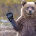 ���� �����, ������, 19 ��� - ��������� 2 ������� 2025 � ������ ���� ����������