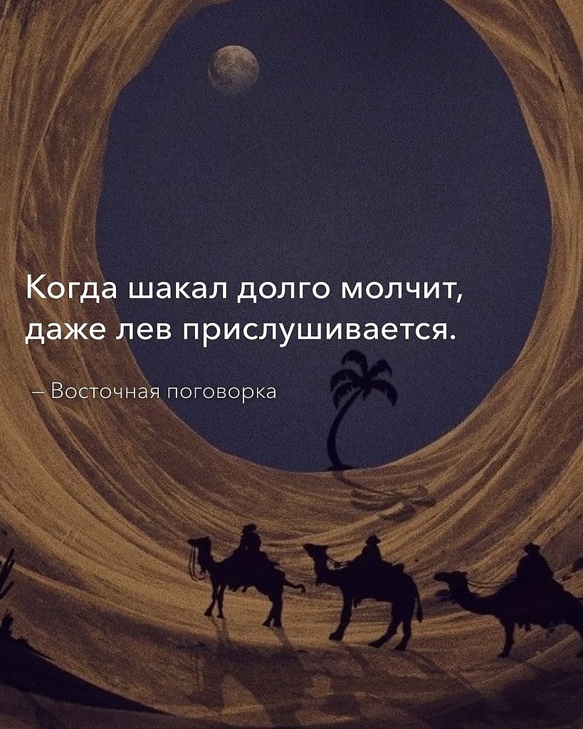      . - 7