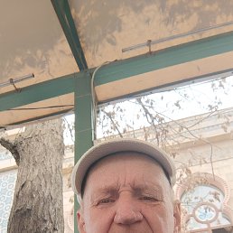 , 67, 