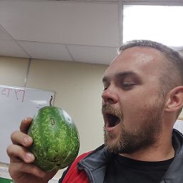 ����, ����, 37 ���