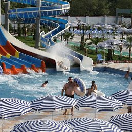 F, �������, 43 ����