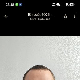 ����, 41 ���, �����������