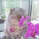 ���� :-) �� ������� ���� ����������