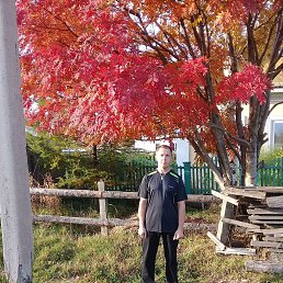 ������, 46 ���, ����