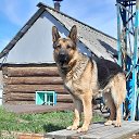 ���� ��������, ������, 68 ��� - ��������� 3 ������� 2025 � ������ ������ ��������