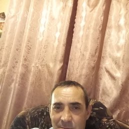 �����, 41 ���, ���������