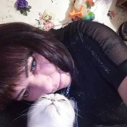 �����, 41 ���, ������