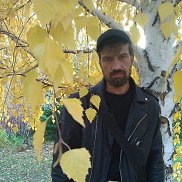 , 55 , 
