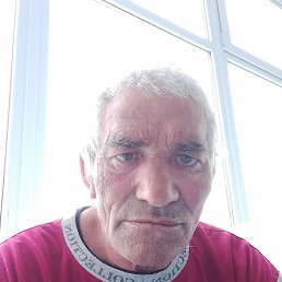 , 56, 