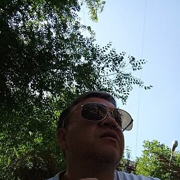 �������, ������, 46 ���