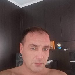 �����, 48 ���, ������