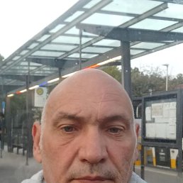 , 53, 