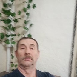 , 56, 