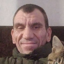 ������, ���������, 42 ����