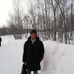 , 50, 