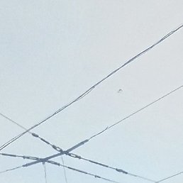 ����, ������������, 40 ���