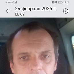 , 44, 