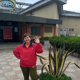 �������, ���������, 50 ���