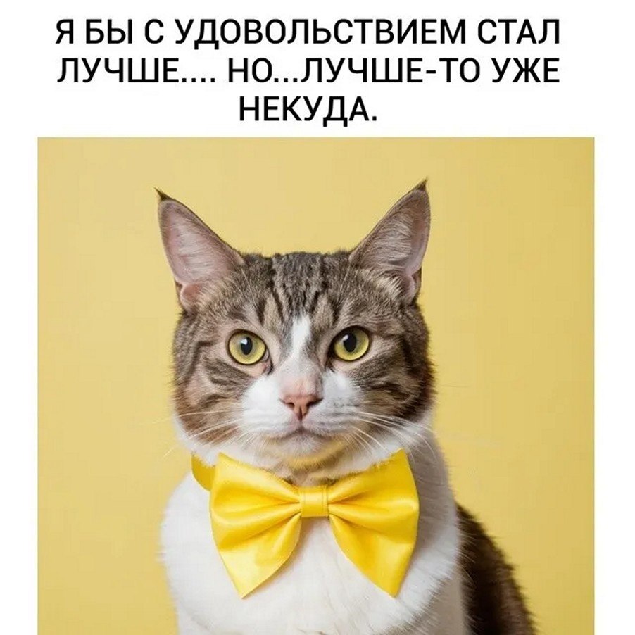 ☆ ☆ - 24  2025  12:08