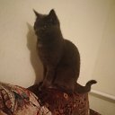 ���� �����, ���� - ��������� 12 ������� 2026 � ������ ���� ����������