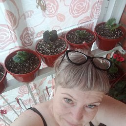 , 50, 