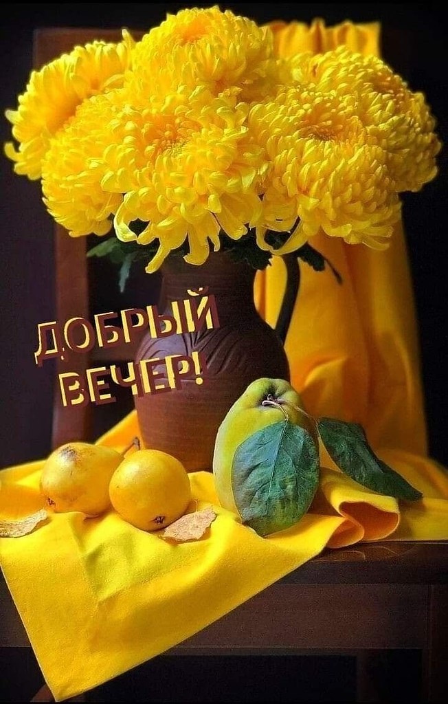 ПРИВЕТСТВИЯ и ПОЖЕЛАНИЯ, открытки на каждый день. - 26 октября 2025 в 17:09