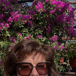 , 57, 