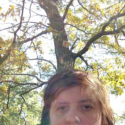 , 38, 