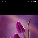 ���� ������� ���������, ������, 52 ���� - ��������� 10 ����� 2024 � ������ ���� ����������