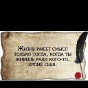���� ����, ������, 49 ��� - ��������� 26 ��� 2024