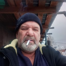 , 61 , 