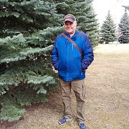 , 61 , 